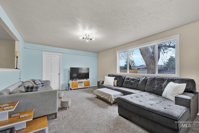 living room with carpet and a textured ceiling