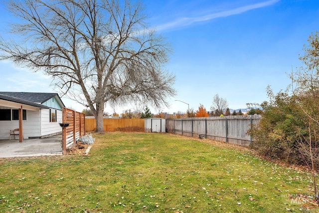 view of yard with a patio area and a storage shed