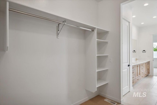 5351 W Mcnair St, Meridian, ID 83646 - walk in closet with a sink