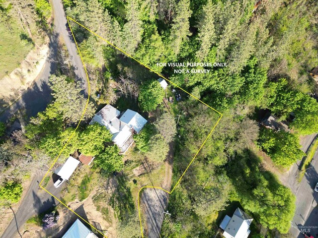 bird's eye view