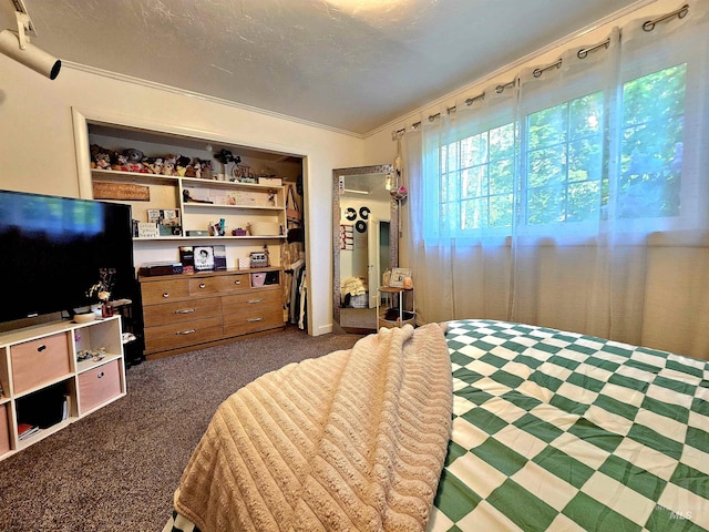 bedroom featuring crown molding and dark colored carpet