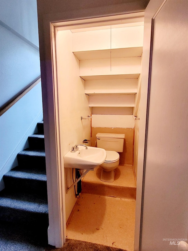 half bathroom featuring toilet and a sink
