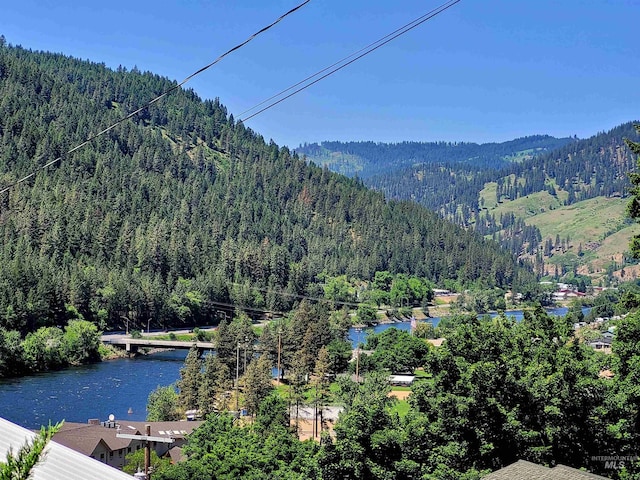 property view of mountains featuring a water view and a forest view