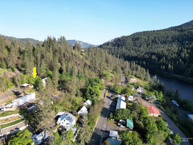drone / aerial view featuring a mountain view and a forest view