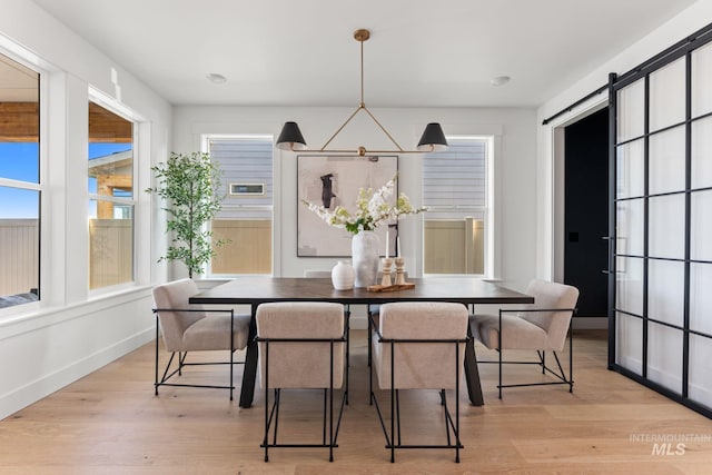 461 S Quincannon Ln, Star, ID 83669 - dining space with a healthy amount of sunlight, baseboards, and light wood-style flooring