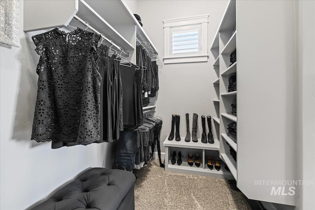 9968 Moon Shadow Ct, Middleton, ID 83644 - spacious closet featuring carpet