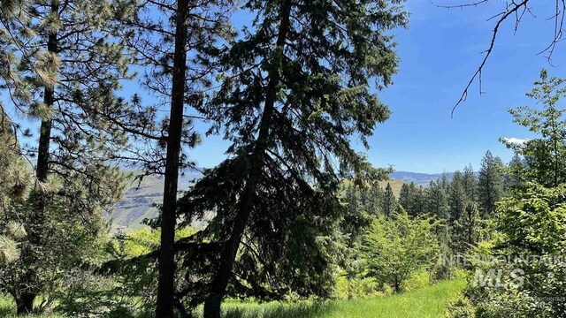 TBD Saddle Ridge Rd, White Bird, ID 83554