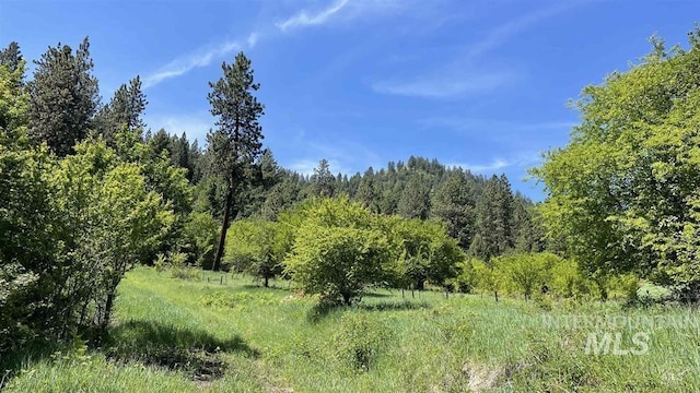 TBD Saddle Ridge Rd, White Bird, ID 83554