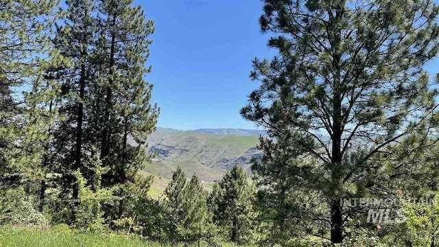 TBD Saddle Ridge Rd, White Bird, ID 83554
