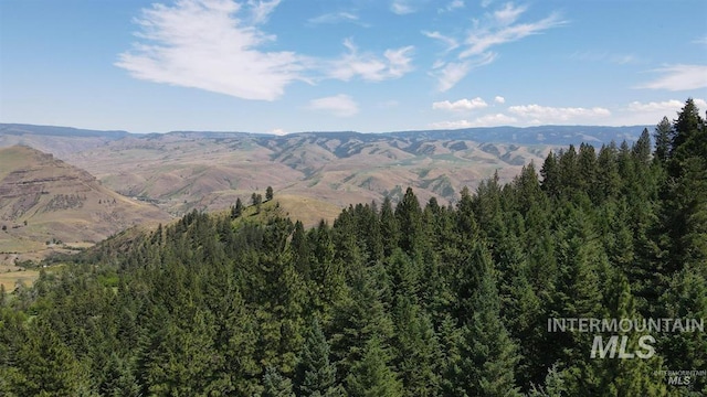 TBD Saddle Ridge Rd, White Bird, ID 83554
