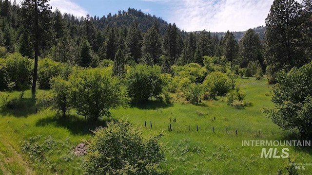 TBD Saddle Ridge Rd, White Bird, ID 83554