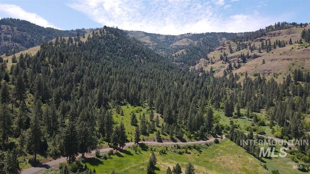 TBD Saddle Ridge Rd, White Bird, ID 83554