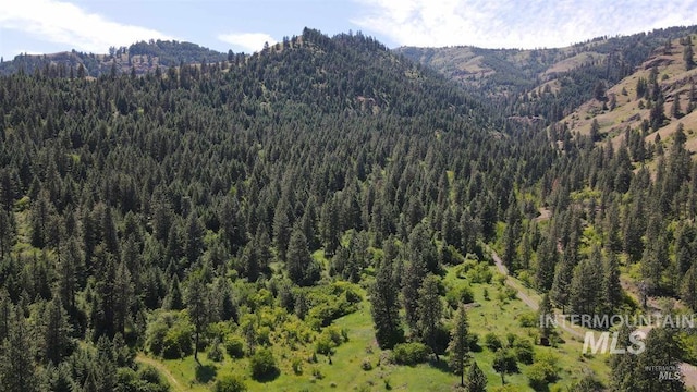 TBD Saddle Ridge Rd, White Bird, ID 83554