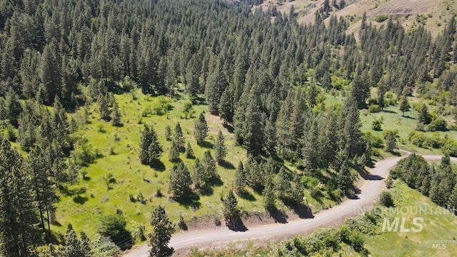 TBD Saddle Ridge Rd, White Bird, ID 83554
