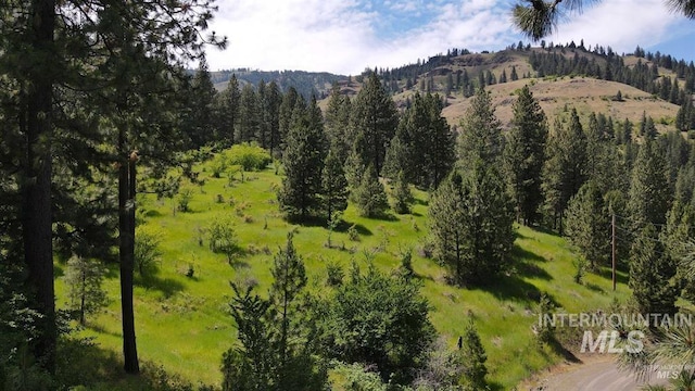 TBD Saddle Ridge Rd, White Bird, ID 83554