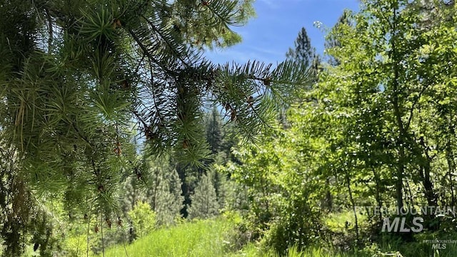 TBD Saddle Ridge Rd, White Bird, ID 83554