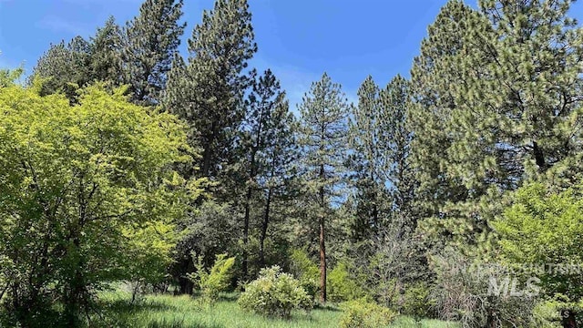 TBD Saddle Ridge Rd, White Bird, ID 83554