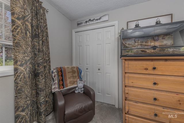 455 Farber Dr, Payette, ID 83661 - sitting room with carpet flooring, a textured ceiling, and lofted ceiling