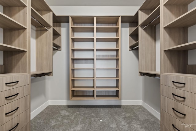 9382 Basin Kid, Middleton, ID 83644 - walk in closet with dark carpet