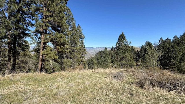 TBD Saddle Ridge Rd, White Bird ID, 83544 land for sale