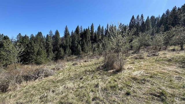 Listing photo 2 for TBD Saddle Ridge Rd, White Bird ID 83544