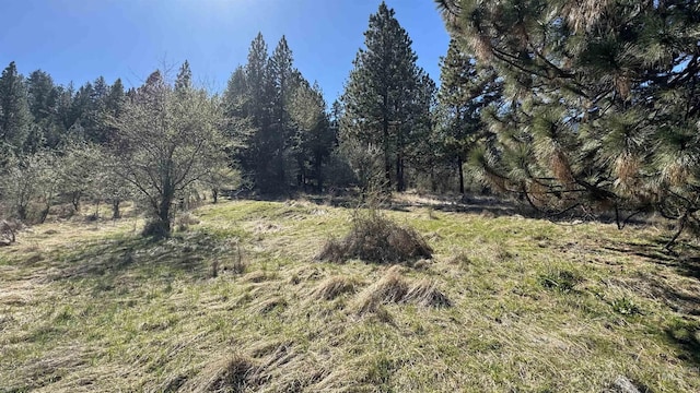 Listing photo 3 for TBD Saddle Ridge Rd, White Bird ID 83544