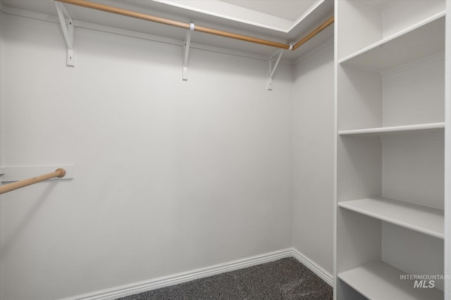3011 S Montego Way, Nampa, ID 83686 - spacious closet with carpet flooring