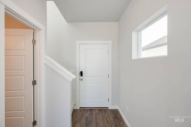 doorway with dark hardwood / wood-style floors