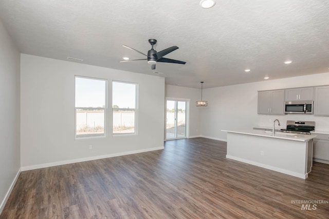 kitchen featuring wood-type flooring, plenty of natural light, stainless steel appliances, and ceiling fan