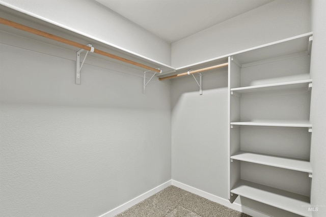 spacious closet with carpet floors