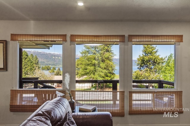 114 Par Dr, Cascade, ID 83611 - living area with plenty of natural light