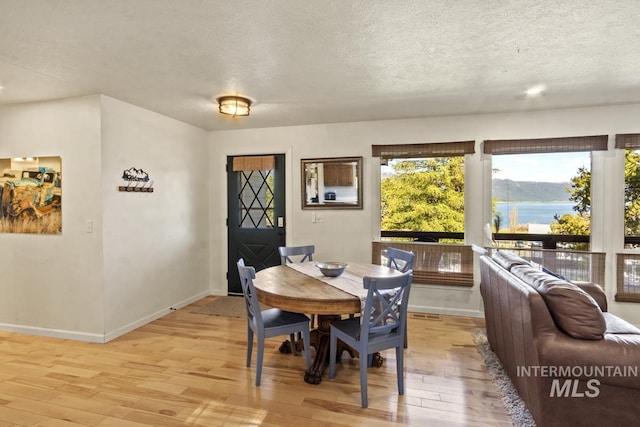 114 Par Dr, Cascade, ID 83611 - dining room featuring light wood-type flooring, a textured ceiling, baseboards, and a water view