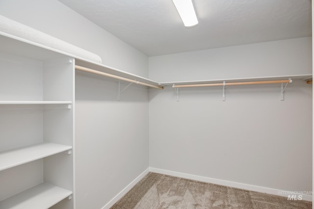 19361 James Ave, Caldwell, ID 83605 - walk in closet with carpet floors