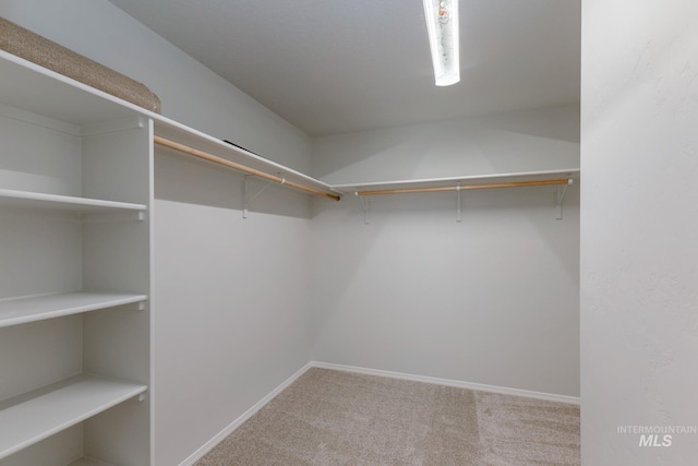 19361 James Ave, Caldwell, ID 83605 - walk in closet featuring carpet floors