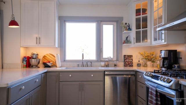 kitchen featuring gray cabinetry, a sink, light countertops, appliances with stainless steel finishes, and ventilation hood