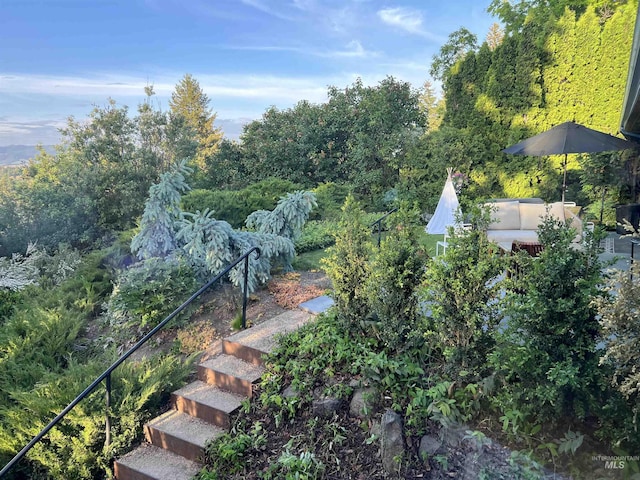 birds eye view of property with a wooded view