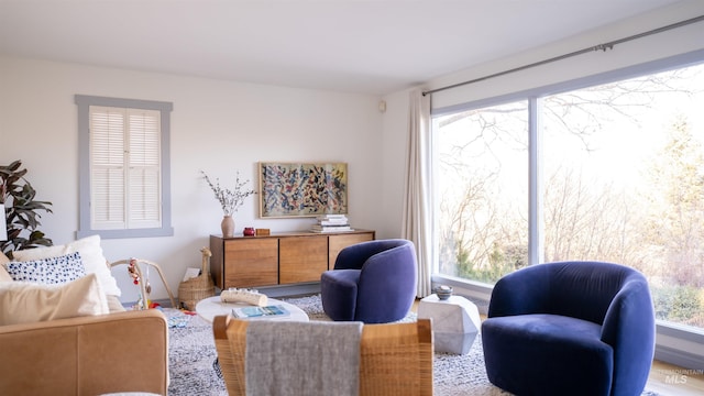 sitting room featuring a healthy amount of sunlight