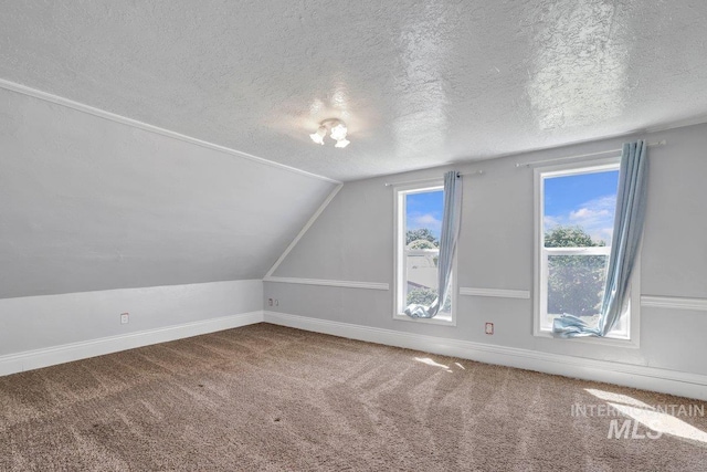 712 Yakima Ave, Filer, ID 83328 - additional living space featuring a textured ceiling, vaulted ceiling, carpet floors, and baseboards