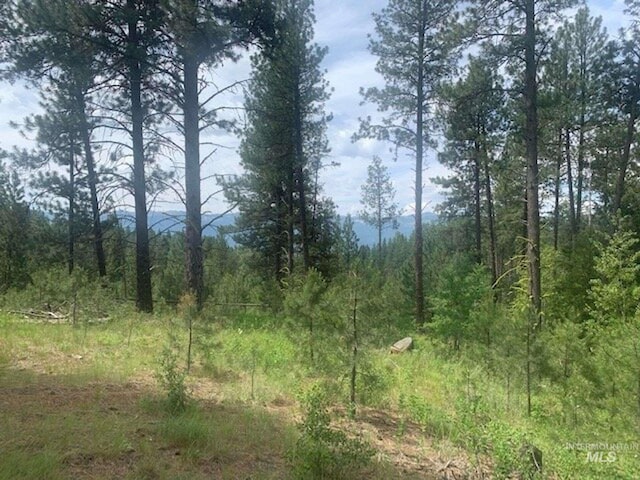 1451AND1455 Crown Point Pkwy, Cascade ID, 83611 land for sale