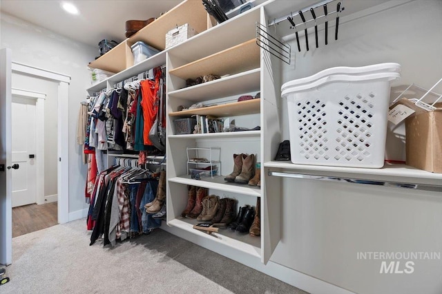 spacious closet featuring carpet