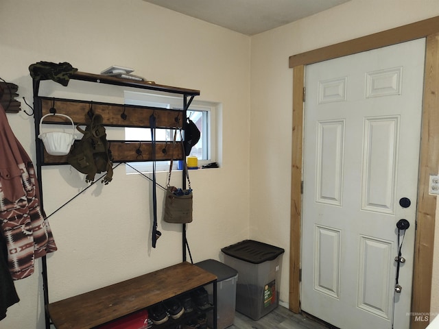 mudroom with hardwood / wood-style floors