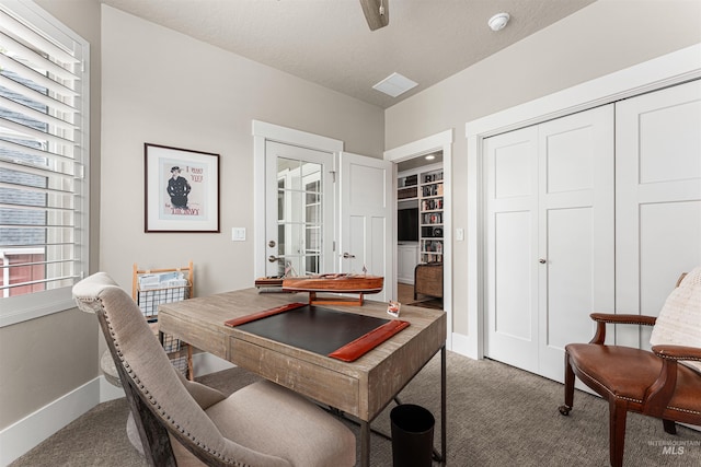 733 W Cowman St, Eagle, ID 83616 - home office with carpet floors and baseboards