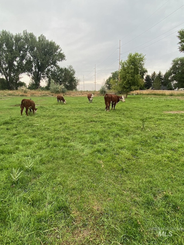 view of yard with a rural view