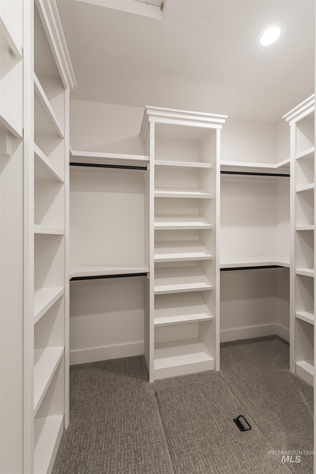 spacious closet with dark carpet