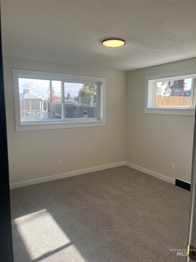 unfurnished room featuring a healthy amount of sunlight and carpet flooring