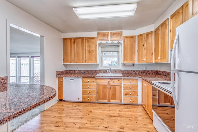 kitchen featuring white appliances, plenty of natural light, a sink, and light wood-style floors