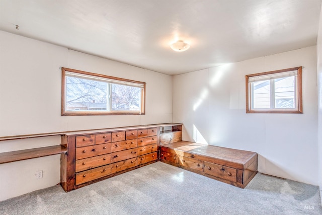 bedroom featuring multiple windows