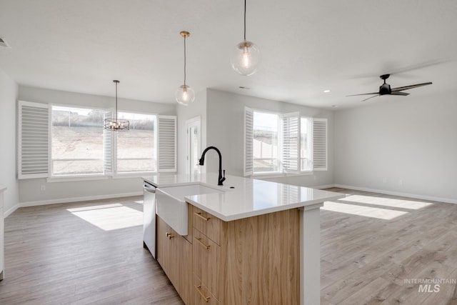 kitchen with open floor plan, stainless steel dishwasher, light wood finished floors, and a sink