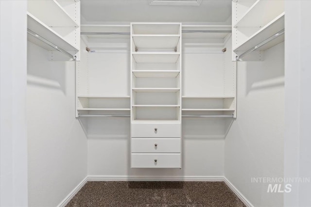 spacious closet featuring carpet