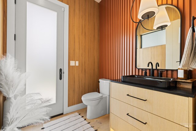 bathroom featuring vanity, wood-type flooring, and toilet